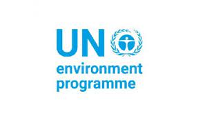 United Nations Environment Programme-International Organisation